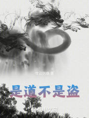 是道不是盗