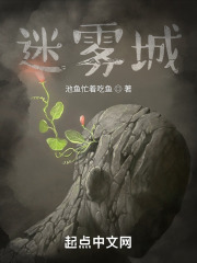 迷雾城