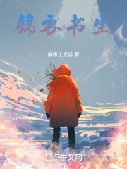锦衣书生