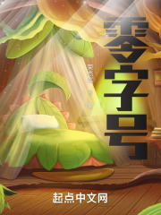 零字号