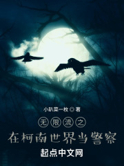 无限流之在柯南世界当警察