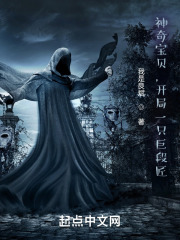 神奇宝贝开局一只巨锻匠