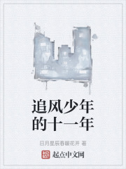 追风少年的十一年
