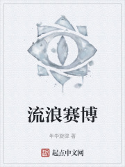 流浪赛博