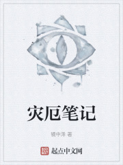 灾厄笔记