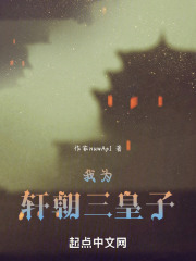 我为轩朝三皇子