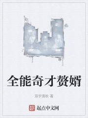 全能奇才赘婿
