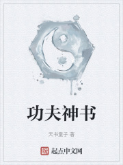 功夫神书