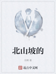 北山坡的