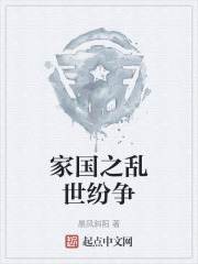 家国之乱世纷争