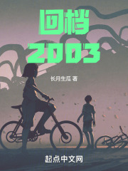 回档2003