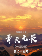 青天无畏一界篇