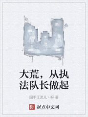 大荒，从执法队长做起