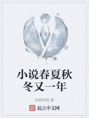小说春夏秋冬又一年