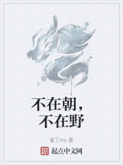 不在朝，不在野