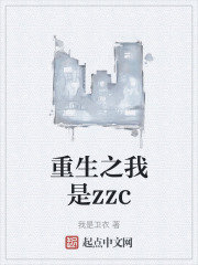 重生之我是zzc