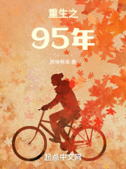 重生之95年