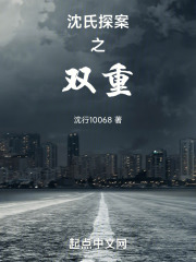 沈氏探案之双重