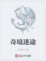 奇境迷途