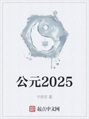 公元2025