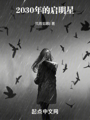 2030年的启明星