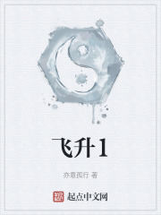 飞升1
