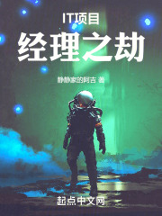 IT项目经理之劫