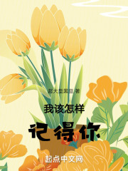 我该怎样记得你
