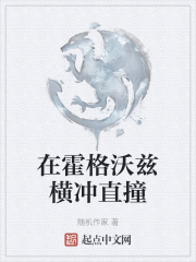 在霍格沃兹横冲直撞