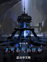 无可奈何的使命