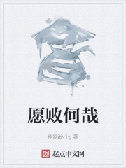 愿败何哉