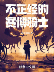不正经的赛博骑士
