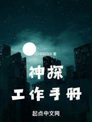 神探工作手册