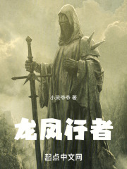 龙凤行者