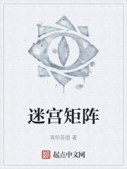 迷宫矩阵