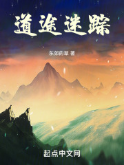 道途迷踪