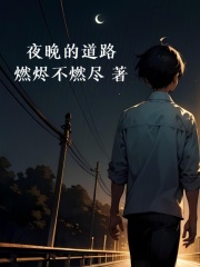 夜晚的道路