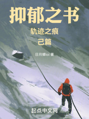 抑郁之书，轨迹之痕，己篇