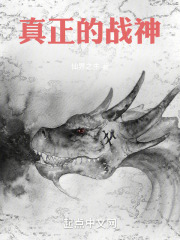 神之仇战