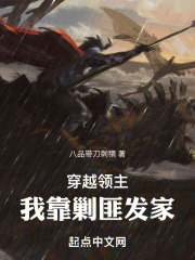 穿越领主：我靠剿匪发家