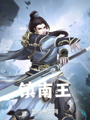 镇南王，