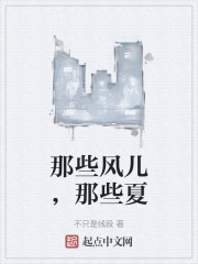 那些风儿，那些夏