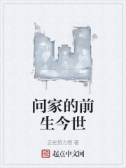 问家的前生今世