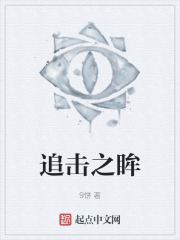 追击之眸