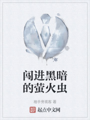 闯进黑暗的萤火虫