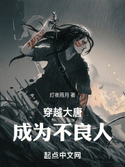 穿越大唐成为不良人