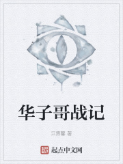 华子哥战记