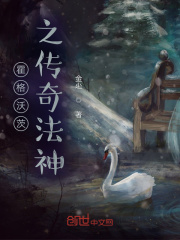 霍格沃茨之传奇法神