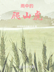 雨中的爬山虎