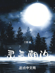 灵气潮汐